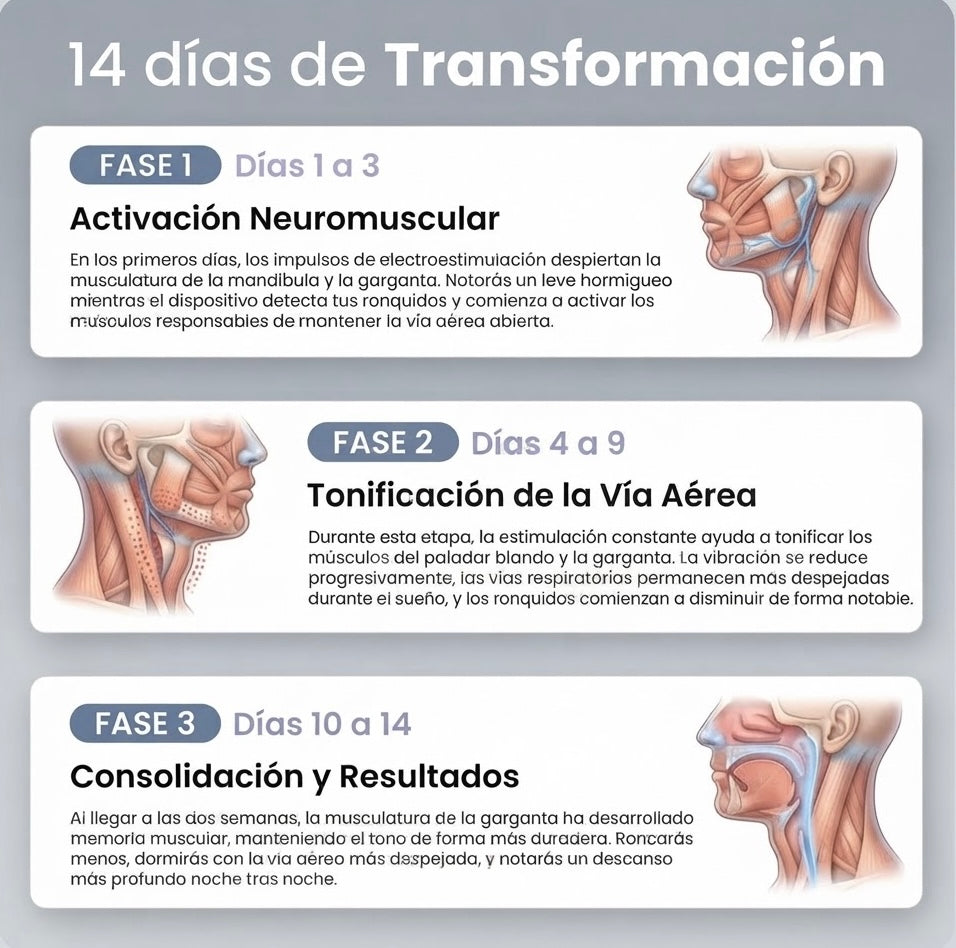 Dispositivo Antironquidos